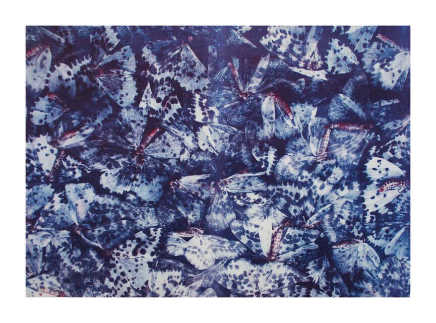 fragile-balance-lithograph.jpg